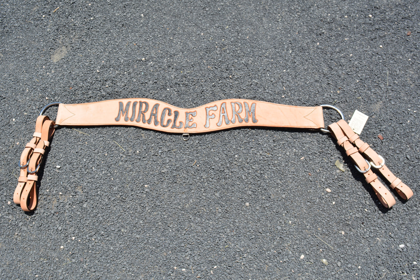 Rodeo Award | 4" Tripping Collar in Roughout w/ Lettering