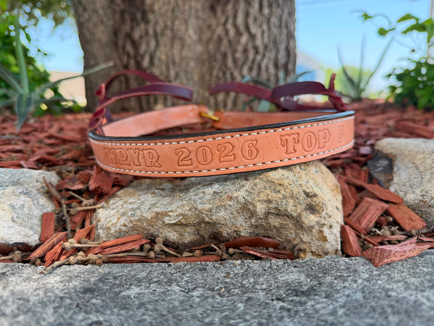 Rodeo Award | Noseband w/ lettering NO COLOR (12)
