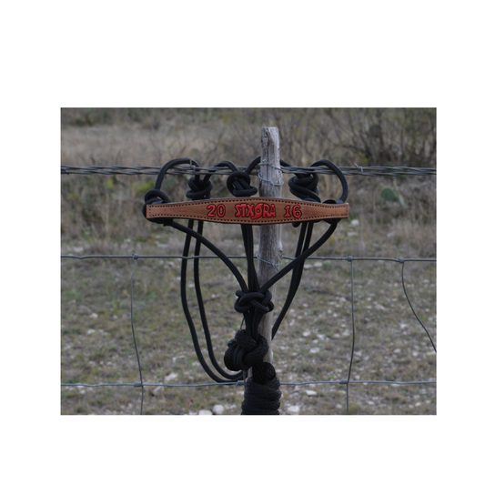 Rodeo Award | Narrow Bronc Nose w/ halter (10)
