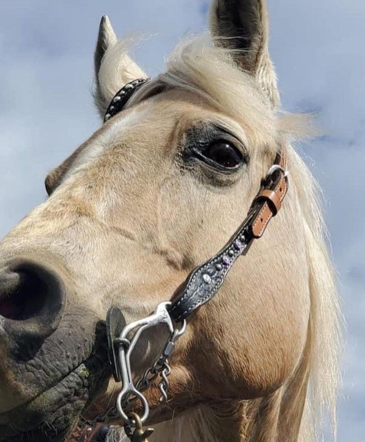 2071-JGA 5/8" flat one ear headstall golden leather black gator overlay with crystals and spots