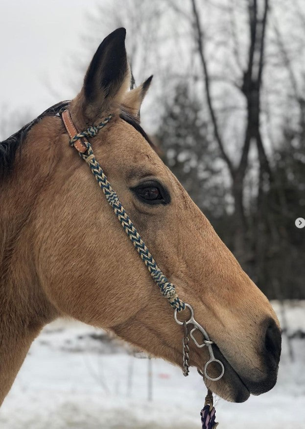 2777-NT 1/4" Round one ear headstall chocolate leather natural and turquoise full braided