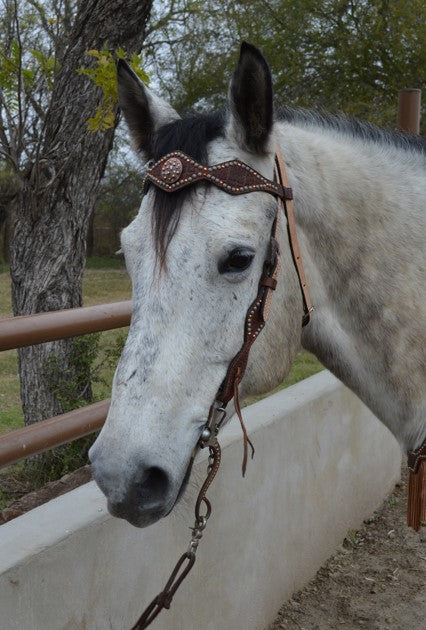 2046-RW 2-1/2" Diamond browband headstall rough out golden leather redwood elephant overlay with spots
