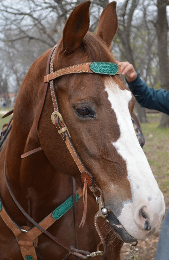 3022-AOT 1-3/4" Contour breast collar rough out chocolate leather with tooled patch and buckstitch