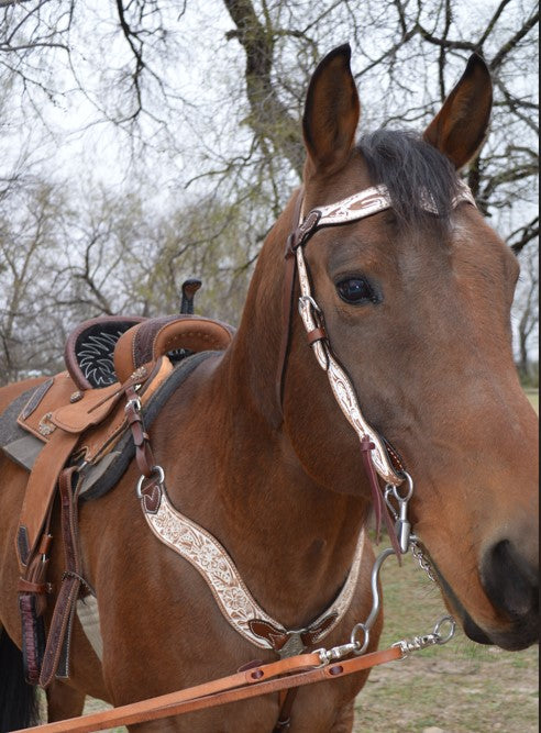 2117-IRO 1-1/2" Wave browband headstall rough out chocolate leather floral tooled with background paint
