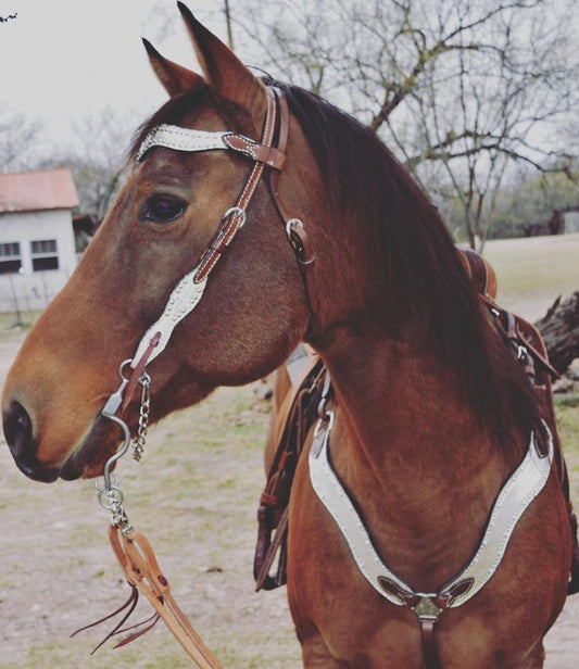 3017-J8 2-1/2" Wave breast collar chocolate leather holographic overlay with crystals and spots