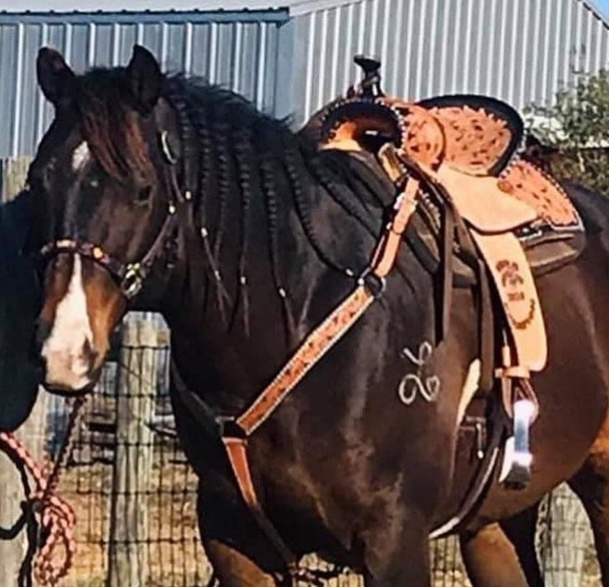 Sunrise Barrel Saddle