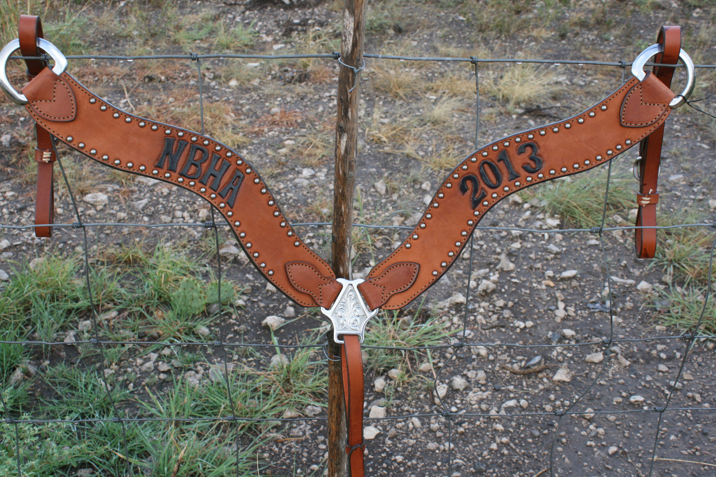 Rodeo Award | 2.5" Wave Breastcollar w/ SS Spot border