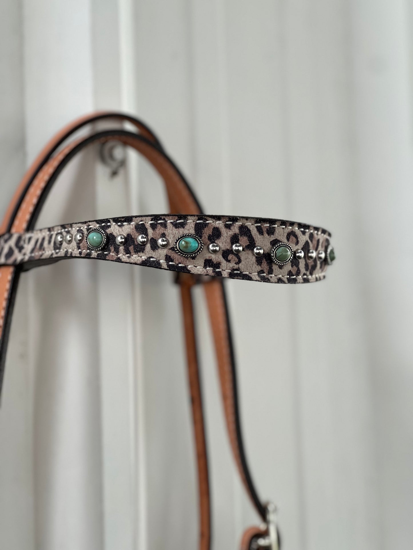 2800- Cheetah 1-1/2" Contour browband headstall