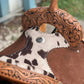 14" El pinto (Two-toned leather w/ Cheyanne roll) Barrel Saddle