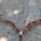 Rodeo Award | 2.5" Wave Breastcollar w/ lettering (16)