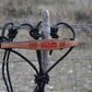 Rodeo Award | Narrow Bronc Nose w/ halter (10)
