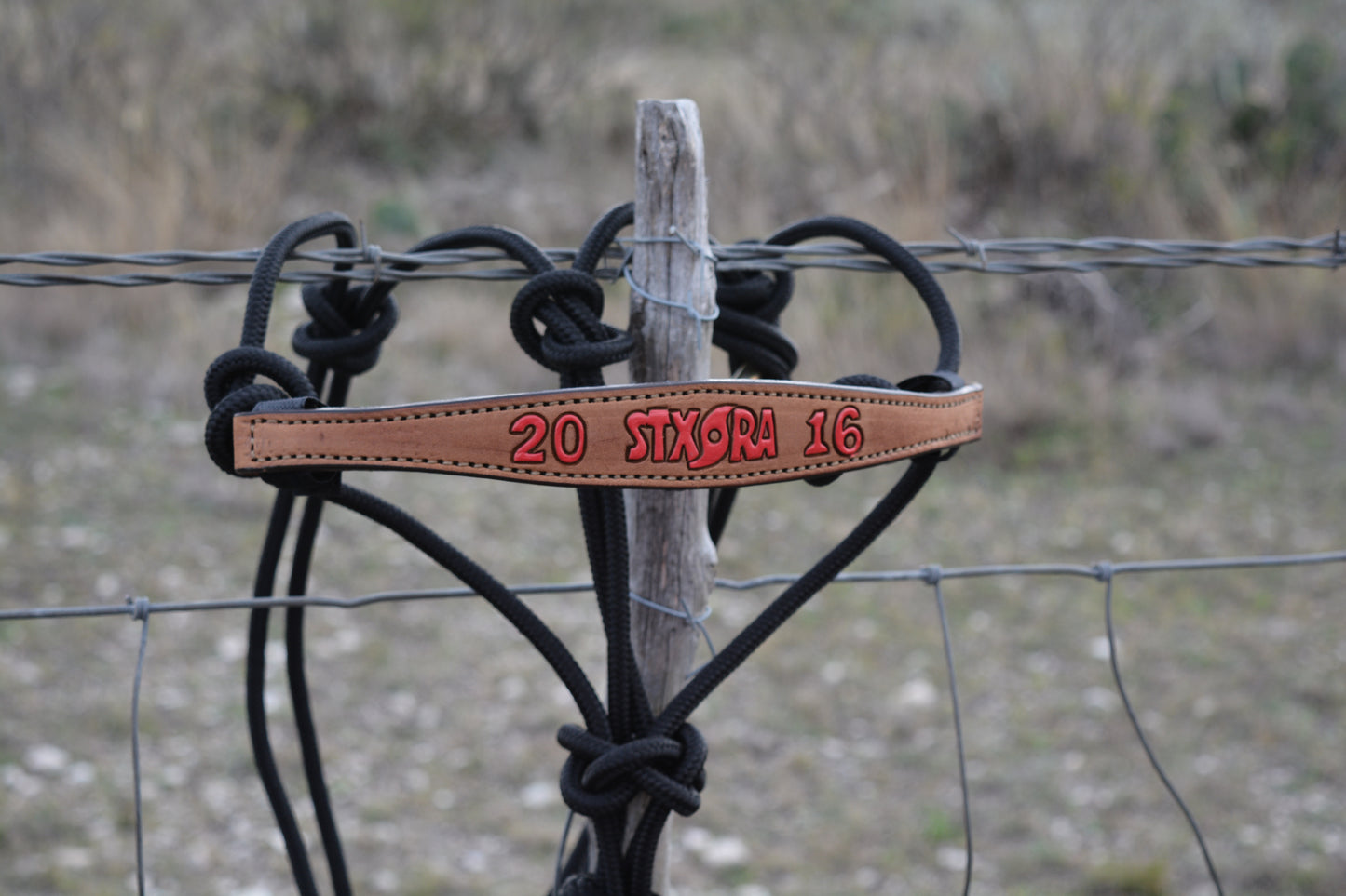 Rodeo Award | Narrow Bronc Nose w/ halter (10)