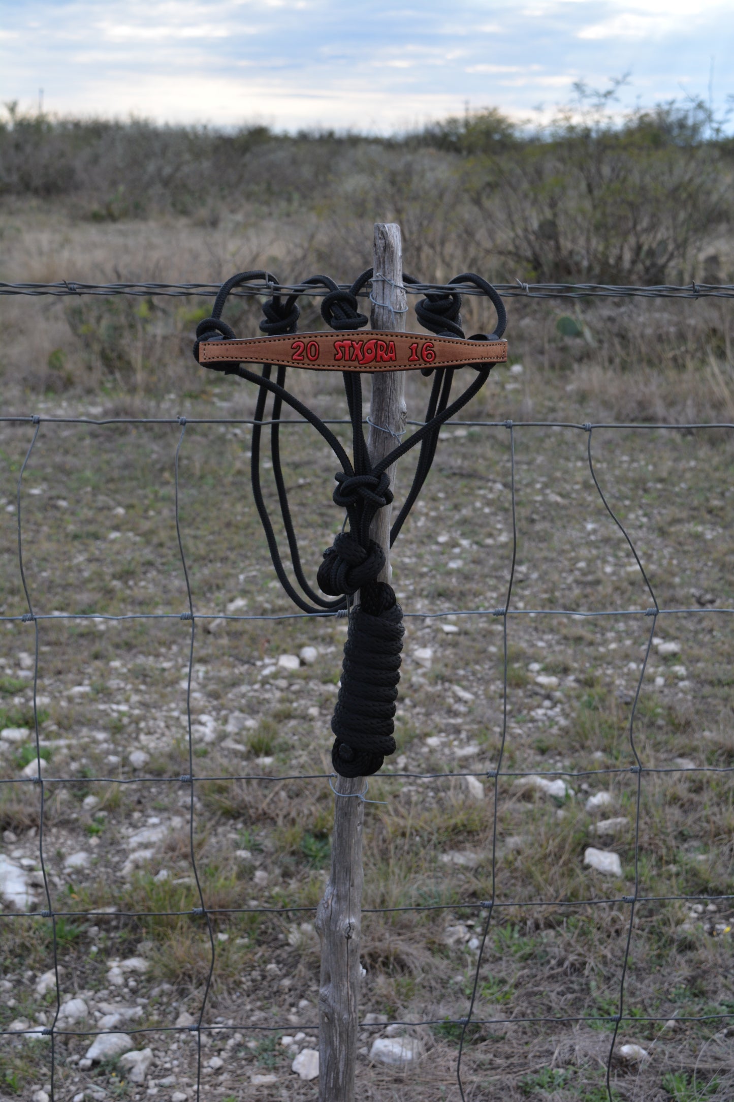 Rodeo Award | Narrow Bronc Nose w/ halter (10)