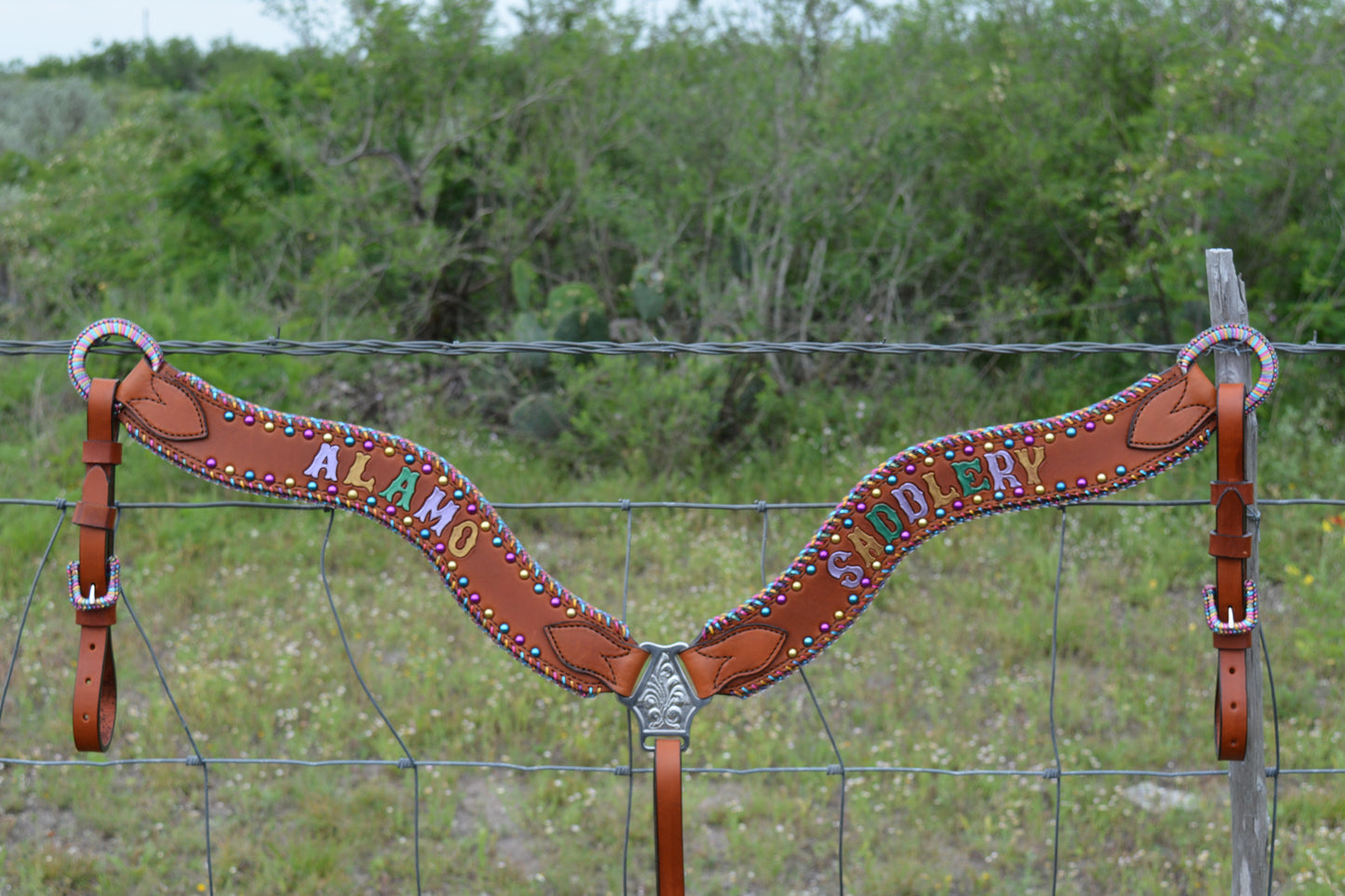 Rodeo Award | 2.5" Wave Breastcollar in fiesta (13 letters)