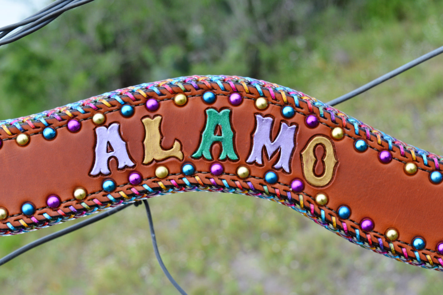 Rodeo Award | 2.5" Wave Breastcollar in fiesta (13 letters)