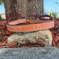 Rodeo Award | Noseband w/ lettering NO COLOR (12)
