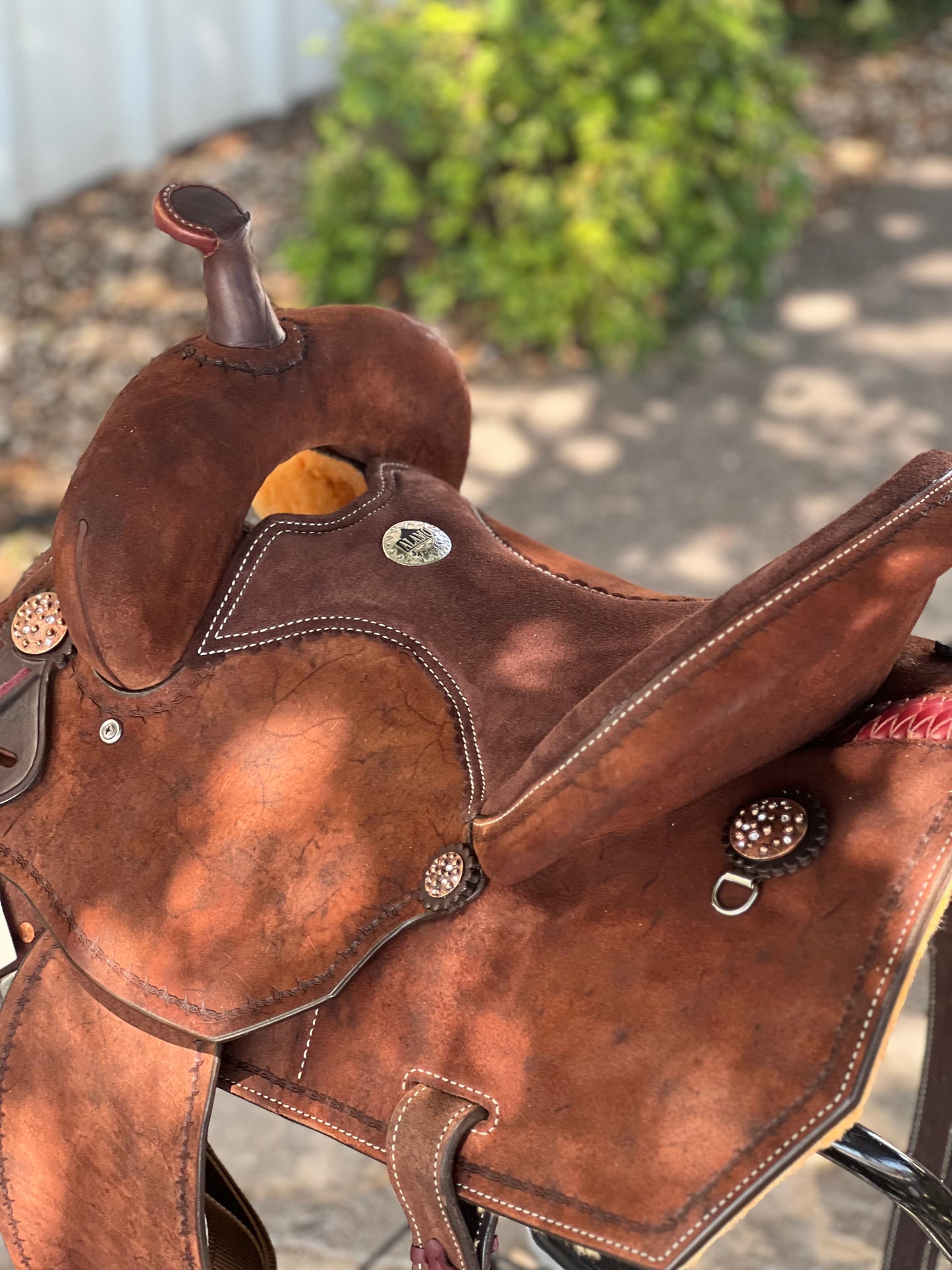 Full Roughout & Border Barrel