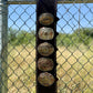 Trophy Buckle Holder | Windmill Chocolate