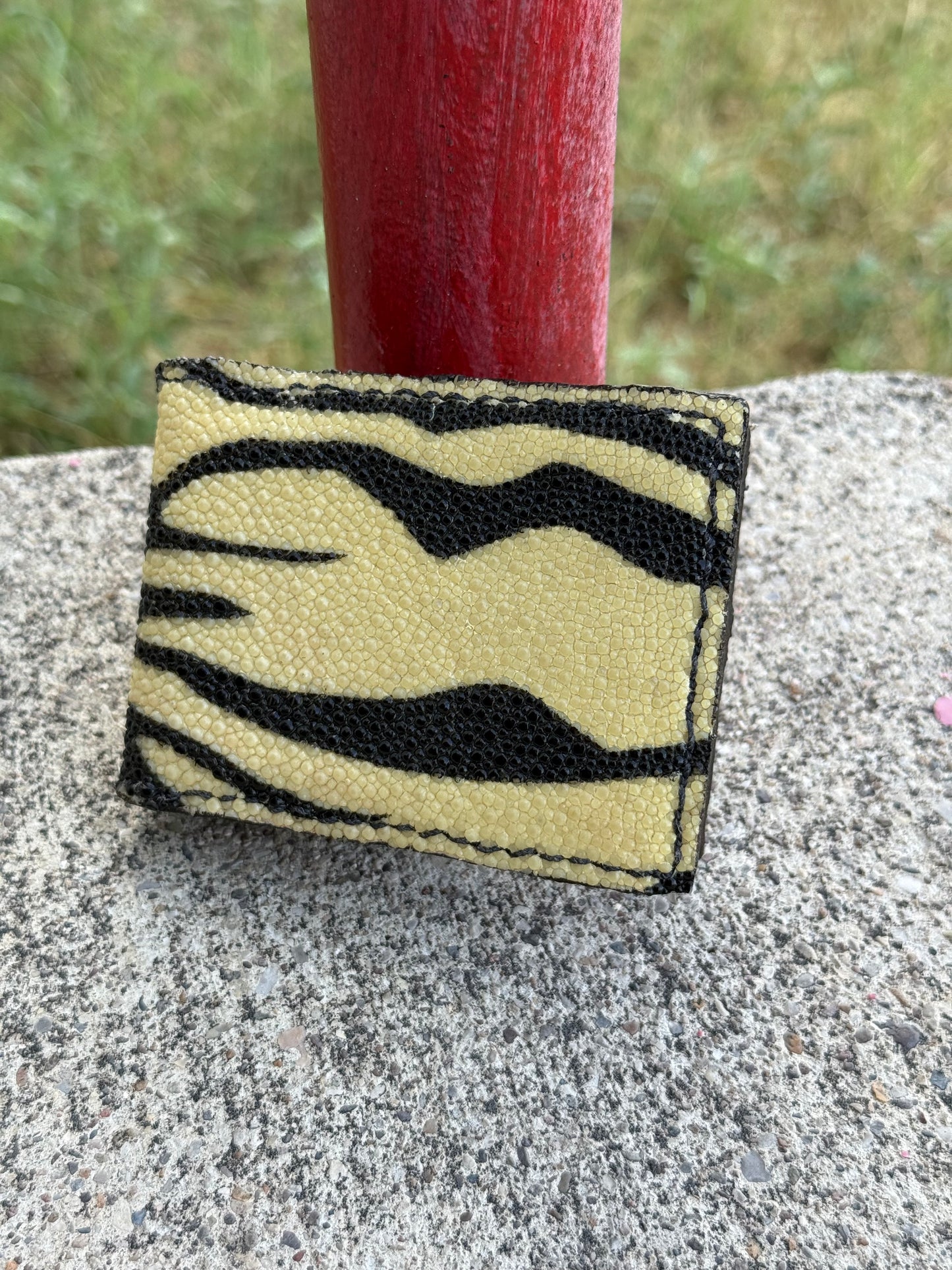 Genuine Stingray Money Clip | The Desert Tiger