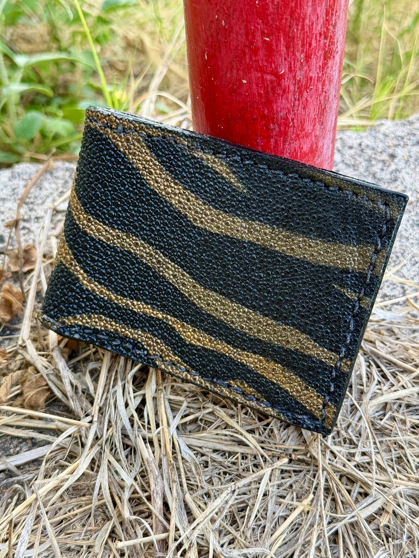 Genuine Stingray Money Clip | The Gold Bandit