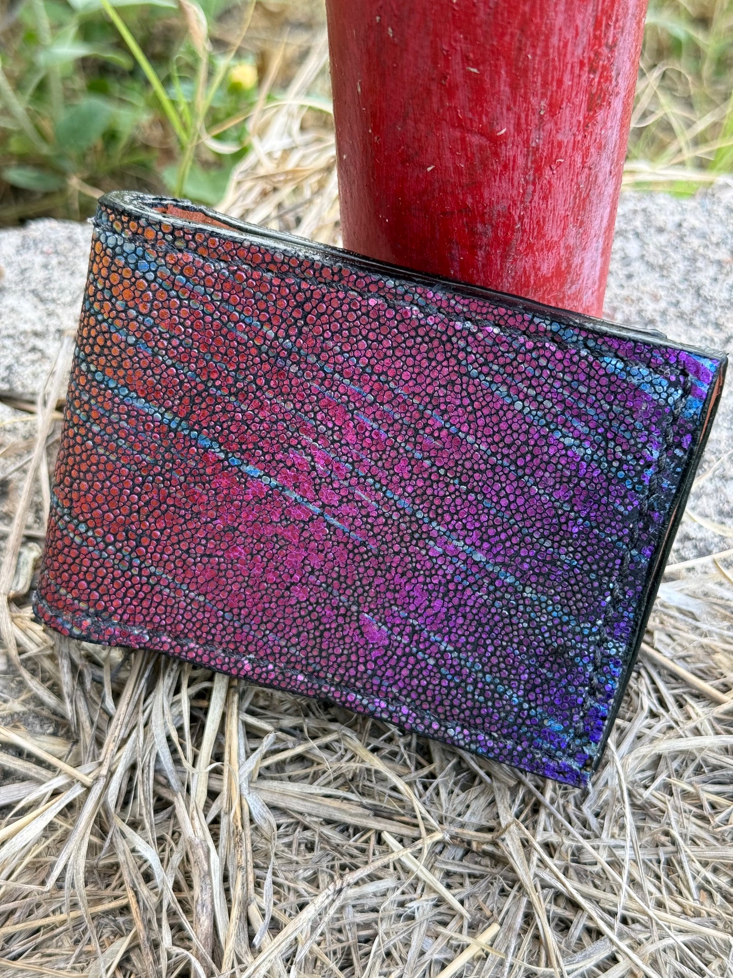 Genuine Stingray Money Clip | The Electric Rodeo