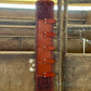 Buckle Holder | Cowboy Feather Toast