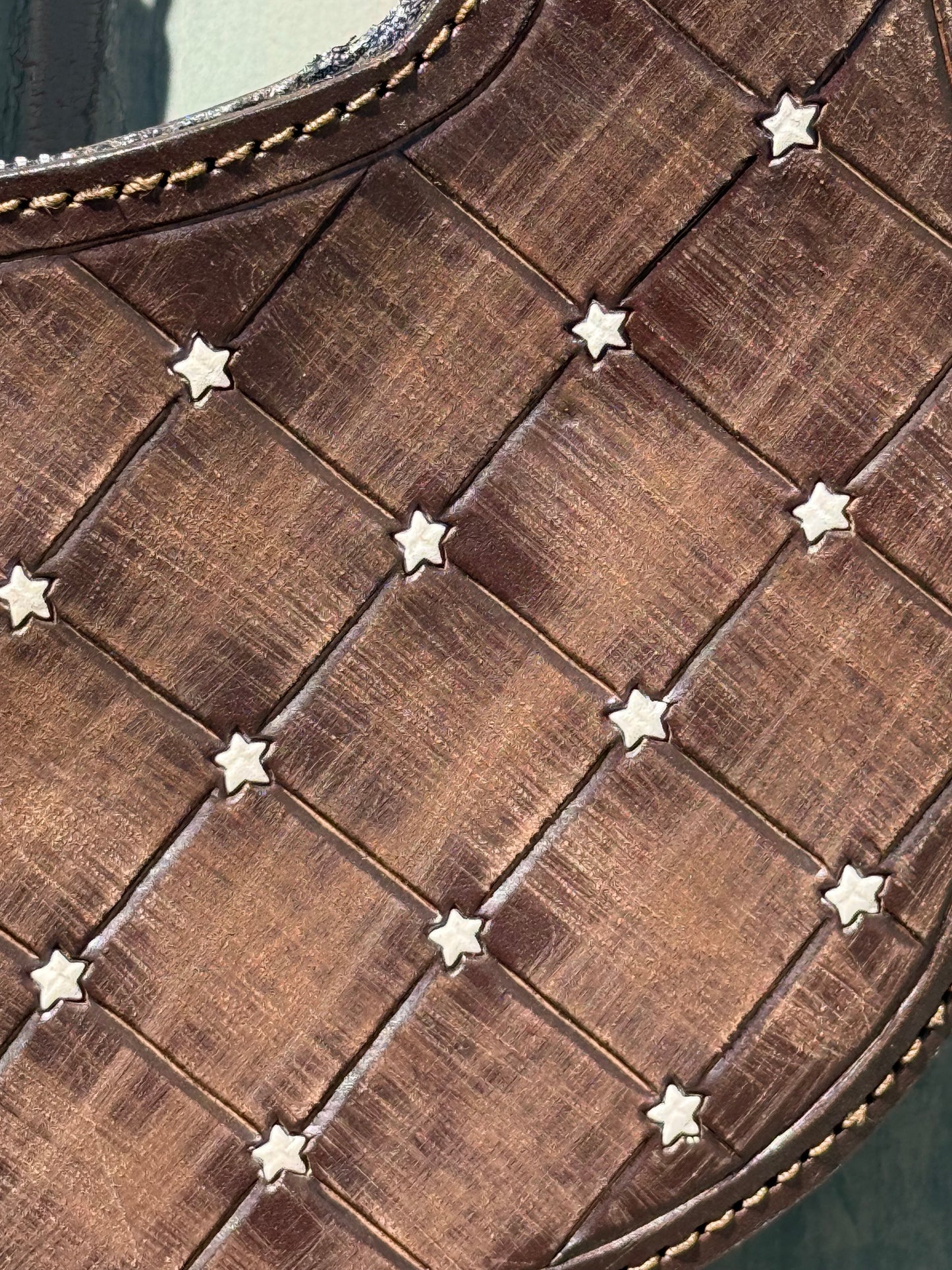 Pistol Purse- Cactus