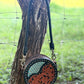 6" Turquoise Gator