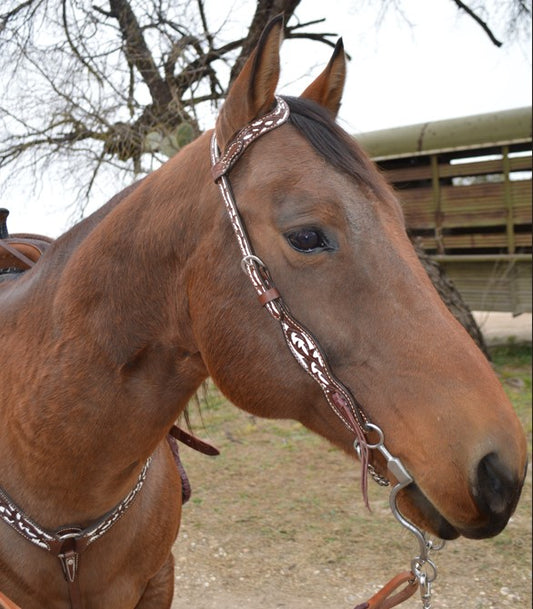 3023-CW 1-3/4" Contour breast collar chocolate leather floral tooled with background paint