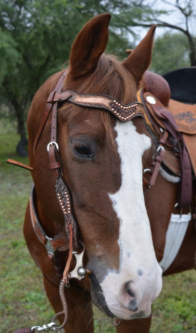 2217-CA 1-1/2" Wave browband headstall toast leather antique elephant and copper crackle overlay with spots