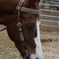 2614-TP 1" Straight browband headstall toast leather with rawhide Spanish lace hardware, braided loops, and spots
