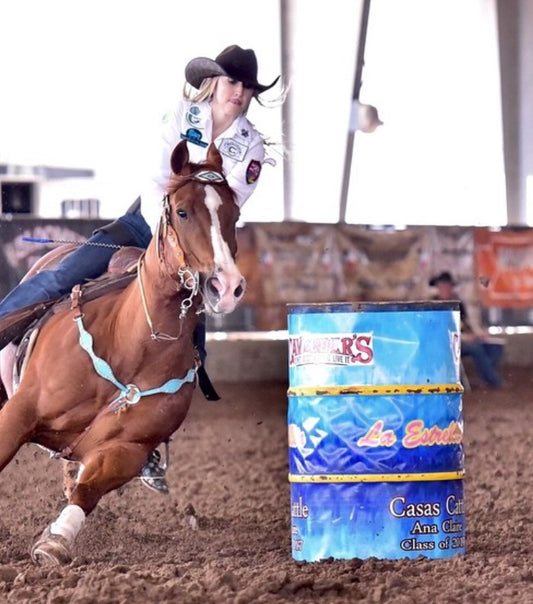 3065-JTM 2" Scalloped breast collar golden leather turquoise marble overlay with crystals and spots