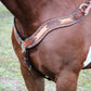 3217-CA 2-1/2" Wave breast collar toast leather antique elephant and copper crackle overlay with spots