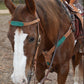 3022-AOT 1-3/4" Contour breast collar rough out chocolate leather with tooled patch and buckstitch
