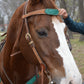 3022-AOT 1-3/4" Contour breast collar rough out chocolate leather with tooled patch and buckstitch