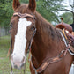 3217-CA 2-1/2" Wave breast collar toast leather antique elephant and copper crackle overlay with spots