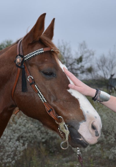 2015-CHW 1/2" Straight broadband headstall toast leather rawhide braiding with tassels