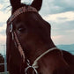 2012-CP 1-1/2" Straight cowboy browband headstall wide cut rough out chocolate leather with whip lace and spots