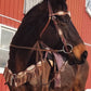 3F85-IC 2" Breast collar toast leather copper crackle and holographic overlay with spots and fringe