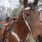 2117-IRO 1-1/2" Wave browband headstall rough out chocolate leather floral tooled with background paint