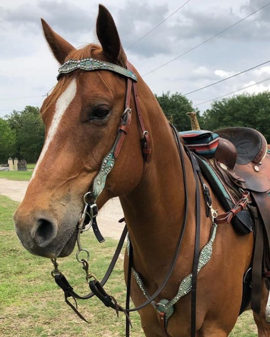 2037-JGT 1-1/2" Scalloped browband headstall golden leather turquoise gator overlay with crystals and spots